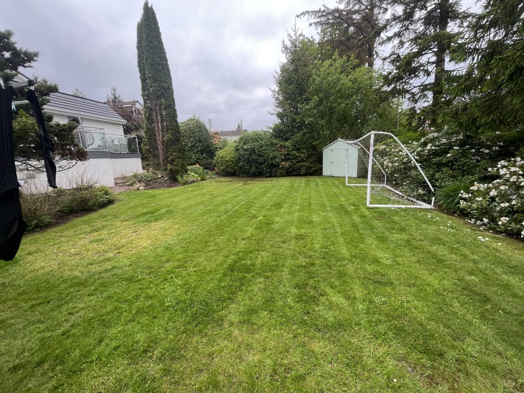 Image: Grass Cutting by CGM Services Neilston